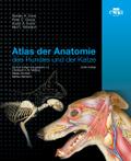 Atlas der Anatomie des Hundes und der Katze