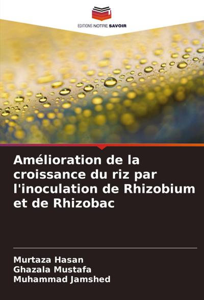 Amélioration de la croissance du riz par l’inoculation de Rhizobium et de Rhizobac