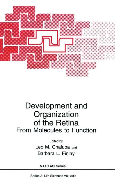 Development and Organization of the Retina