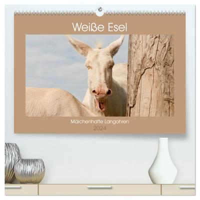 Weiße Esel - Märchenhafte Langohren (hochwertiger Premium Wandkalender 2024 DIN A2 quer), Kunstdruck in Hochglanz