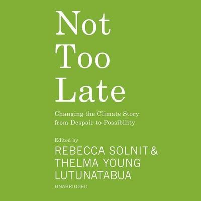 Not Too Late: Changing the Climate Story from Despair to Possibility