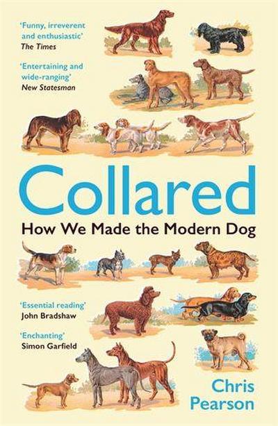 Collared