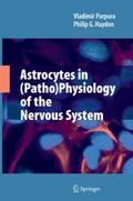 Astrocytes in (Patho)Physiology of the Nervous Sys