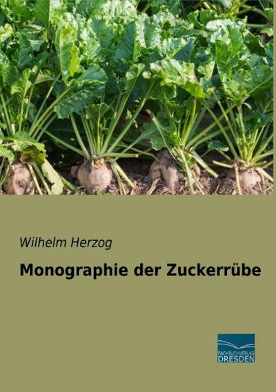Monographie der Zuckerrübe