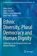 Ethnic Diversity, Plural Democracy and Human Digni