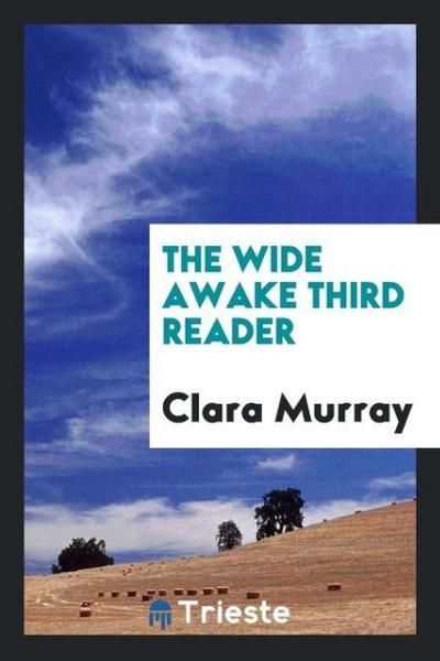 The Wide Awake Third Reader