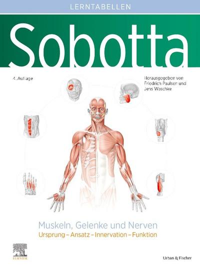 Sobotta Lerntabellen Anatomie Muskeln, Gelenke und Nerven