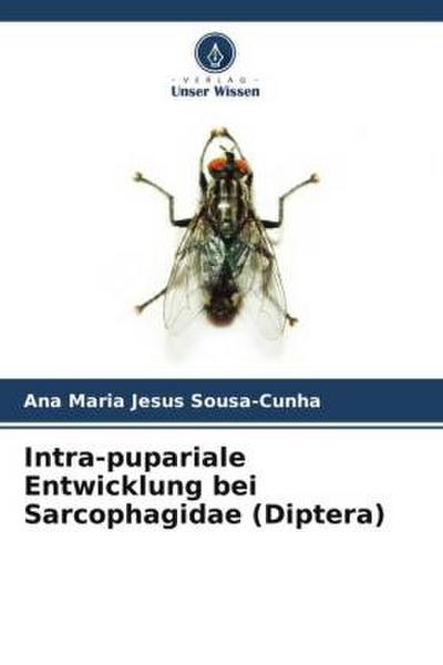 Intra-pupariale Entwicklung bei Sarcophagidae (Diptera)