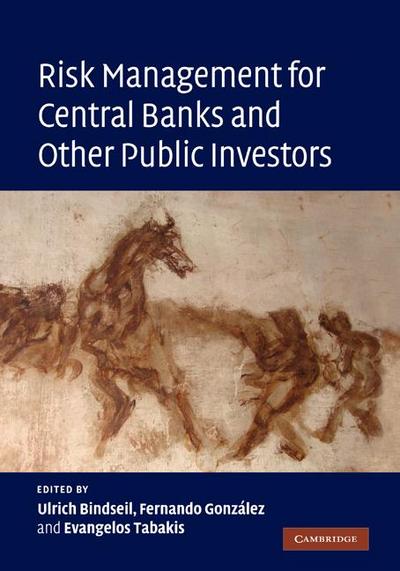 Risk Management for Central Banks and Other Public             Investors