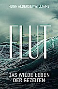 Flut