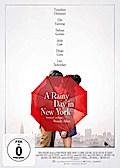 A Rainy Day in New York