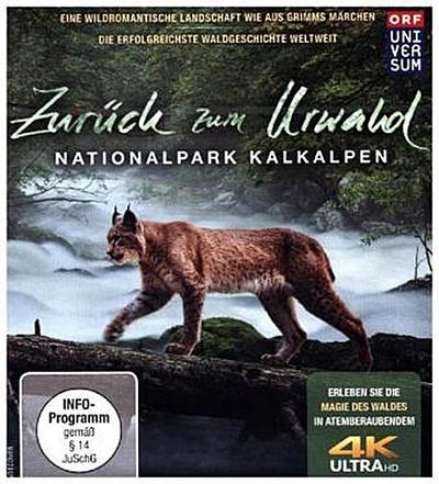 Zurück zum Urwald - Der Nationalpark Kalkalpen