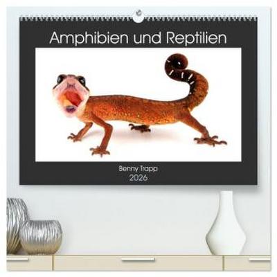 Amphibien und Reptilien (hochwertiger Premium Wandkalender 2026 DIN A2 quer), Kunstdruck in Hochglanz