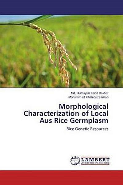 Morphological Characterization of Local Aus Rice Germplasm