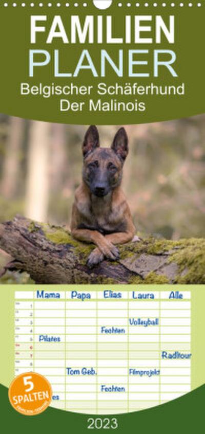 Familienplaner Belgischer Schäferhund - Der Malinois (Wandkalender 2023 , 21 cm x 45 cm, hoch)