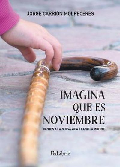 Imagina que es noviembre