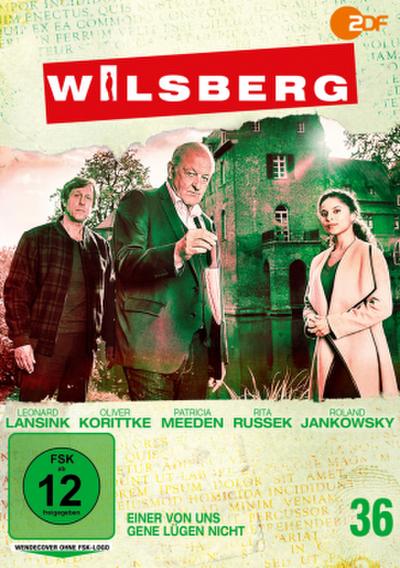 Wilsberg