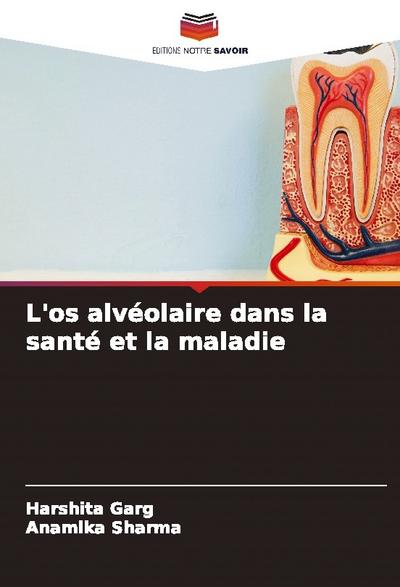 L’os alvéolaire dans la santé et la maladie