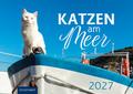 Katzen am Meer 2027