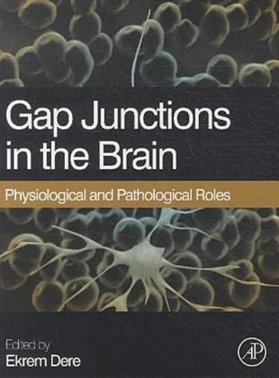 Gap Junctions in the Brain