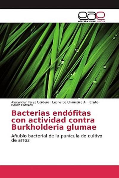 Bacterias endófitas con actividad contra Burkholderia glumae