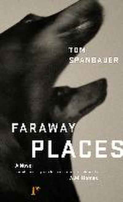 Spanbauer, T: Faraway Places