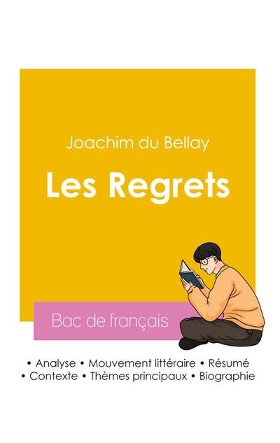 Réussir son Bac de français 2026 : Analyse du recueil Les Regrets de Joachim du Bellay