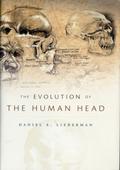 Evolution of the Human Head