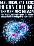 Electrical Patterns Began Calling Themselves Human