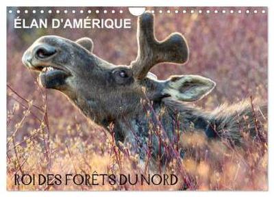 ÉLAN D’AMÉRIQUE - ROI DES FORÊTS DU NORD (Calendrier mural 2026 DIN A4 vertical), CALVENDO calendrier mensuel