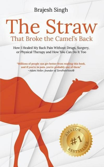 The Straw That Broke the Camel’s Back: How I Healed My Back Pain Without Drugs, Surgery, or Physical Therapy and How You Can Do It Too