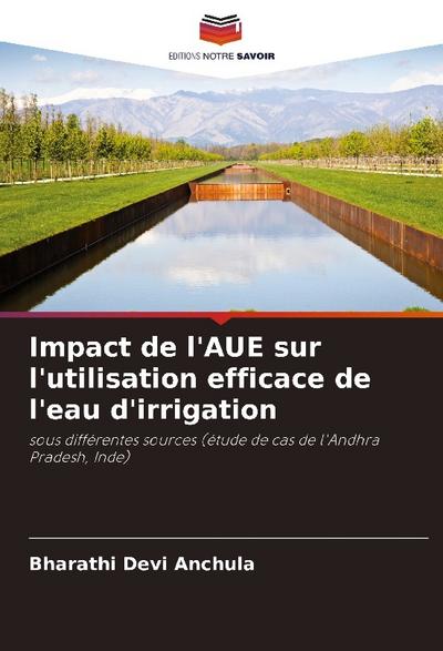 Impact de l’AUE sur l’utilisation efficace de l’eau d’irrigation