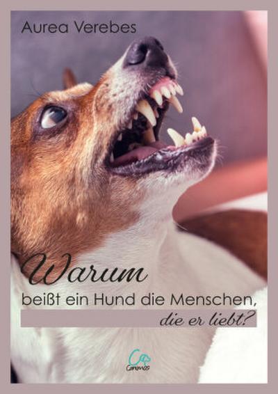 Warum beißt ein Hund die Menschen, die er liebt?
