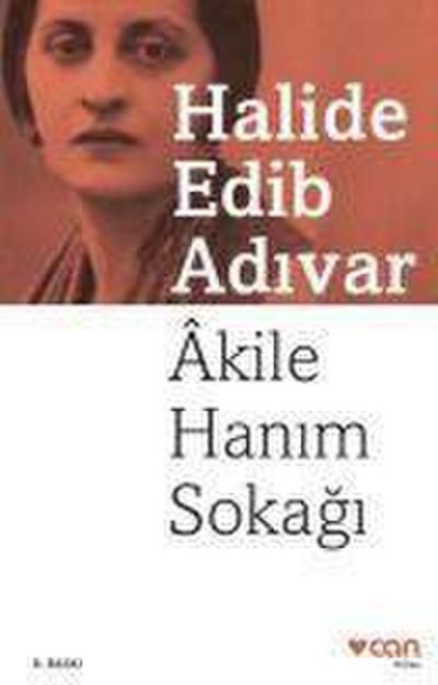 Akile Hanim Sokagi