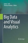 Big Data and Visual Analytics