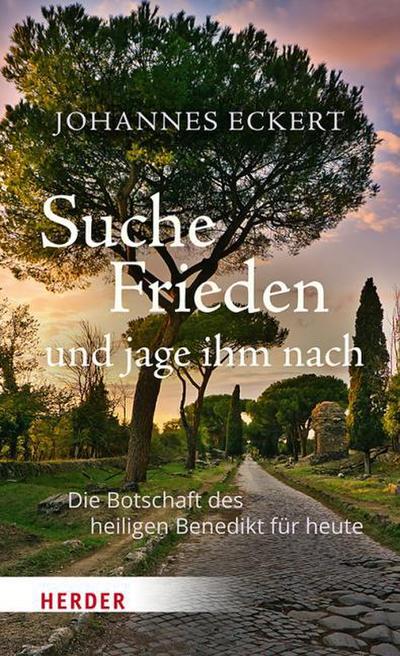 Suche Frieden und jage ihm nach