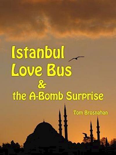 Istanbul Love Bus