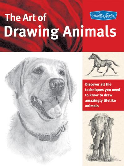 The Art of Drawing Animals