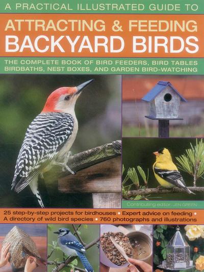 A Practical Illustrated Guide to Attracting and Feeding Backyard Birds