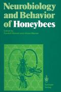 Neurobiology and Behavior of Honeybees