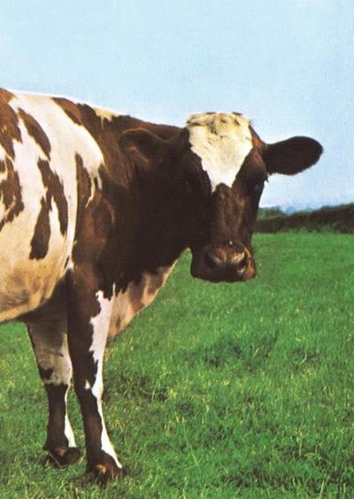 Rossi, G: Atom Heart Mother. Il cuore nuovo dei Pink Floyd