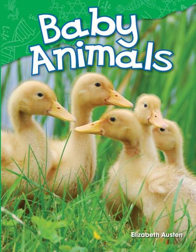 Baby Animals