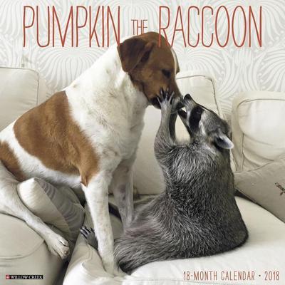 Pumpkin the Raccoon 2018 Wall Calendar
