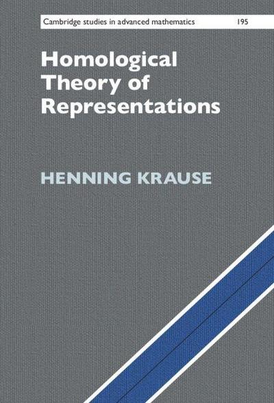 Homological Theory of Representations