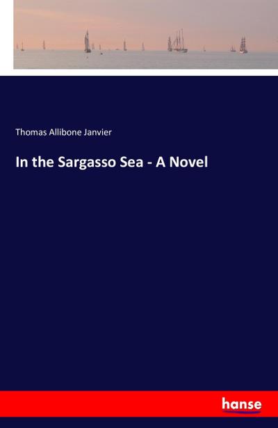 In the Sargasso Sea - A Novel