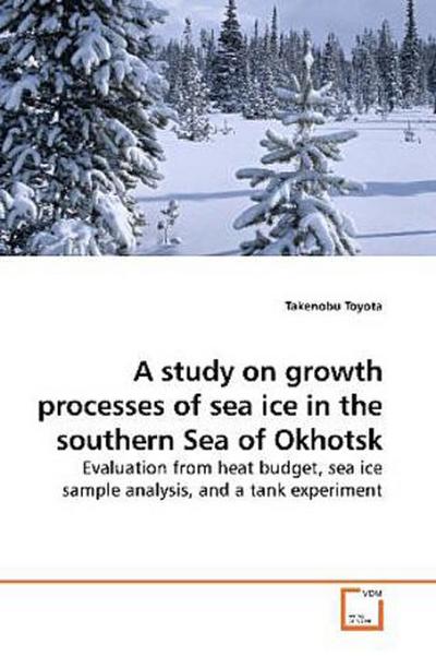 A study on growth processes of sea ice in the southern Sea of Okhotsk