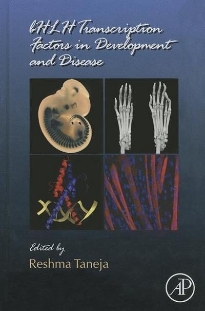 Bhlh Transcription Factors in Development and Disease