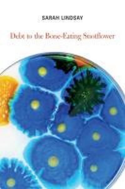 Debt to the Bone-Eating Snotflower