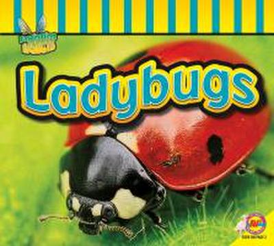 Ladybugs