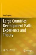 Large Countries Development Path: Experience and T